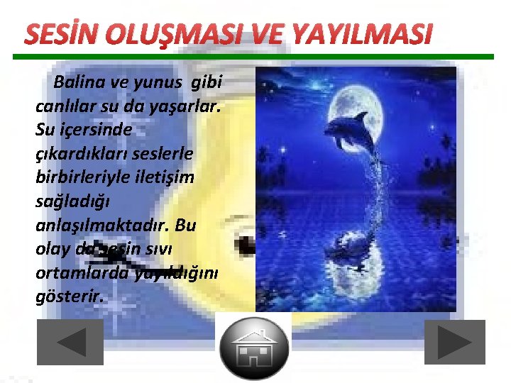SESİN OLUŞMASI VE YAYILMASI Balina ve yunus gibi canlılar su da yaşarlar. Su içersinde SESİN OLUŞMASI VE YAYILMASI Balina ve yunus gibi canlılar su da yaşarlar. Su içersinde