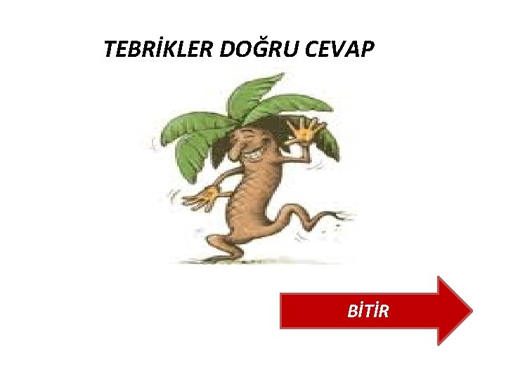 TEBRİKLER DOĞRU CEVAP BİTİR TEBRİKLER DOĞRU CEVAP BİTİR