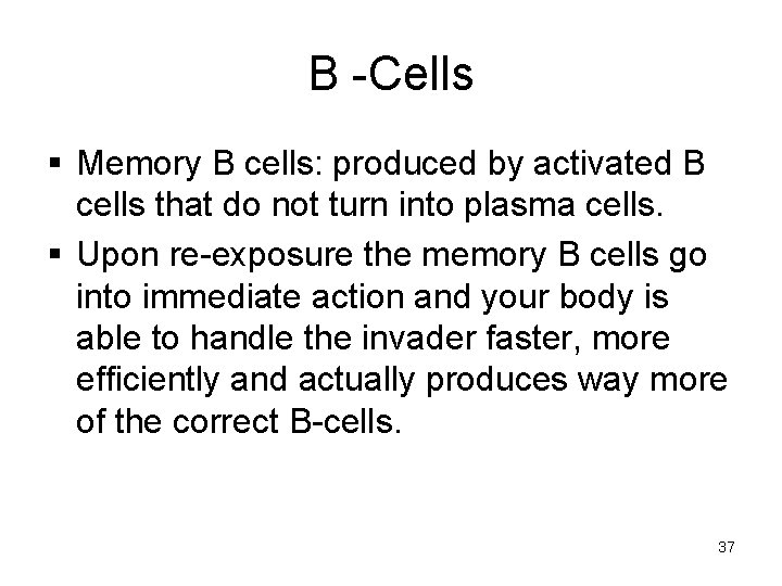 B -Cells § Memory B cells: produced by activated B cells that do not