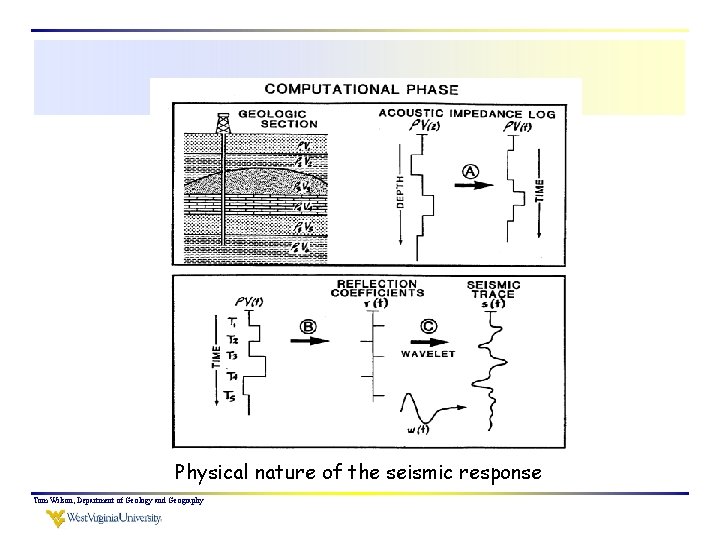 Physical nature of the seismic response Tom Wilson, Department of Geology and Geography 
