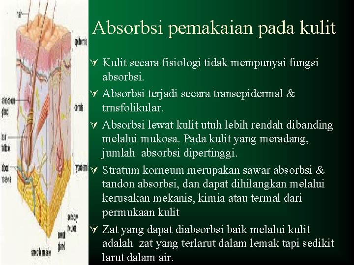 Absorbsi pemakaian pada kulit Ú Kulit secara fisiologi tidak mempunyai fungsi Ú Ú absorbsi.