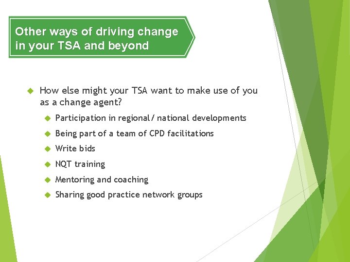 Other ways of driving change in your TSA and beyond How else might your