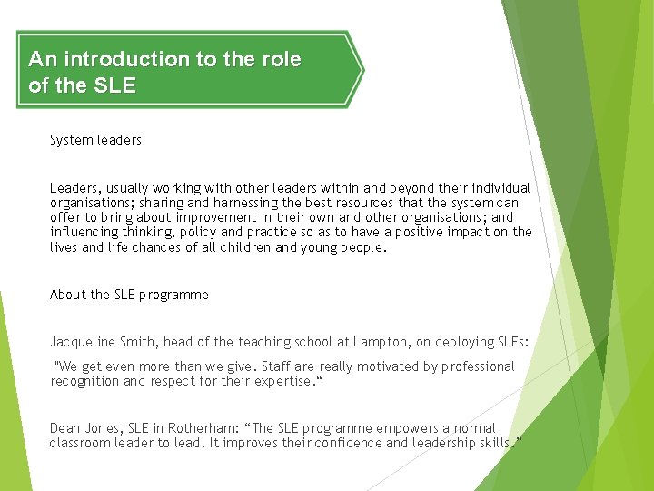 An introduction to the role of the SLE System leaders Leaders, usually working with