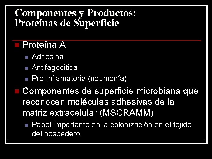 Componentes y Productos: Proteínas de Superficie n Proteína A n n Adhesina Antifagocítica Pro-inflamatoria