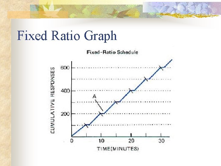 Fixed Ratio Graph 