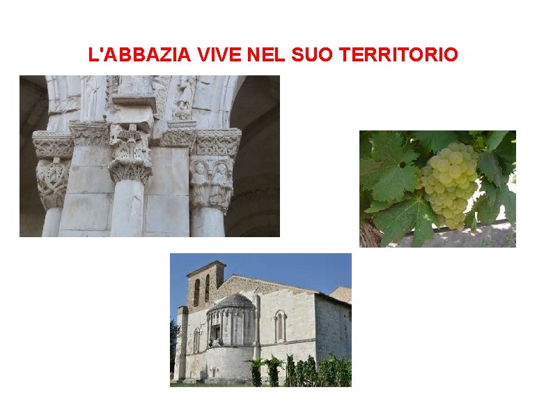 L'ABBAZIA VIVE NEL SUO TERRITORIO 