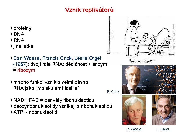 Vznik replikátorů • proteiny • DNA • RNA • jiná látka • Carl Woese,