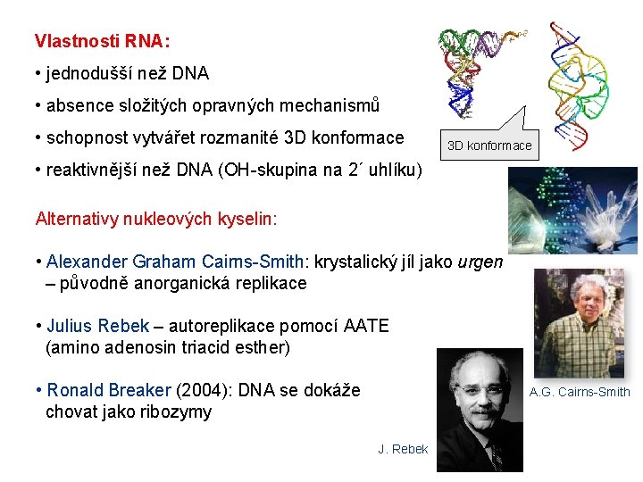 Vlastnosti RNA: • jednodušší než DNA • absence složitých opravných mechanismů • schopnost vytvářet