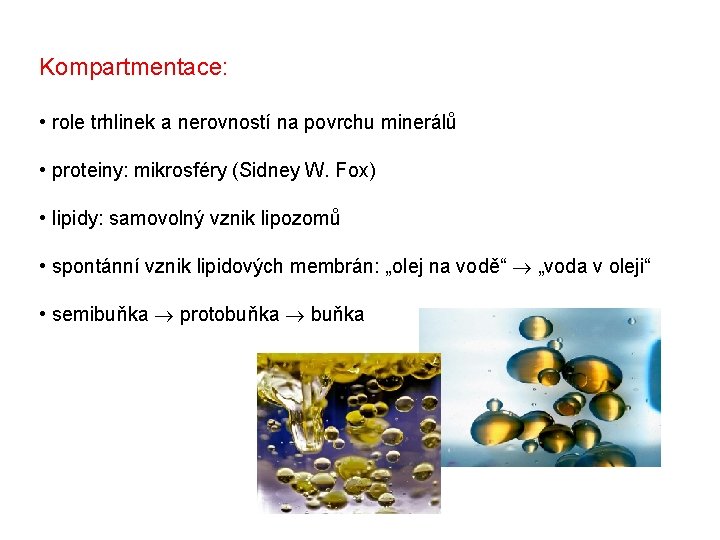 Kompartmentace: • role trhlinek a nerovností na povrchu minerálů • proteiny: mikrosféry (Sidney W.
