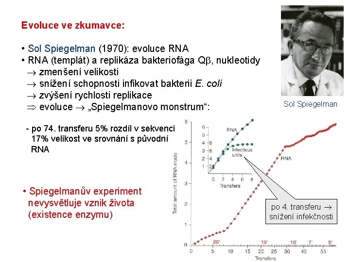 Evoluce ve zkumavce: • Sol Spiegelman (1970): evoluce RNA • RNA (templát) a replikáza