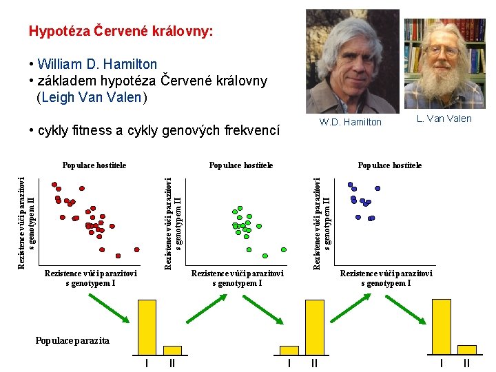 Hypotéza Červené královny: • William D. Hamilton • základem hypotéza Červené královny (Leigh Van