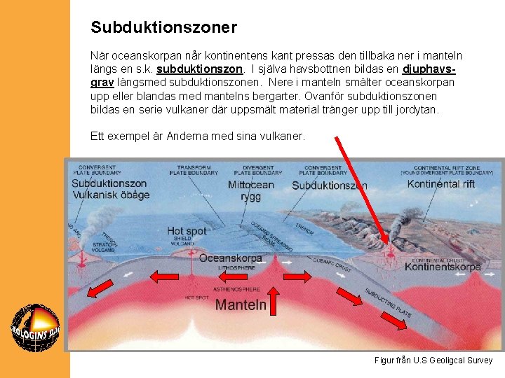 Subduktionszoner När oceanskorpan når kontinentens kant pressas den tillbaka ner i manteln längs en