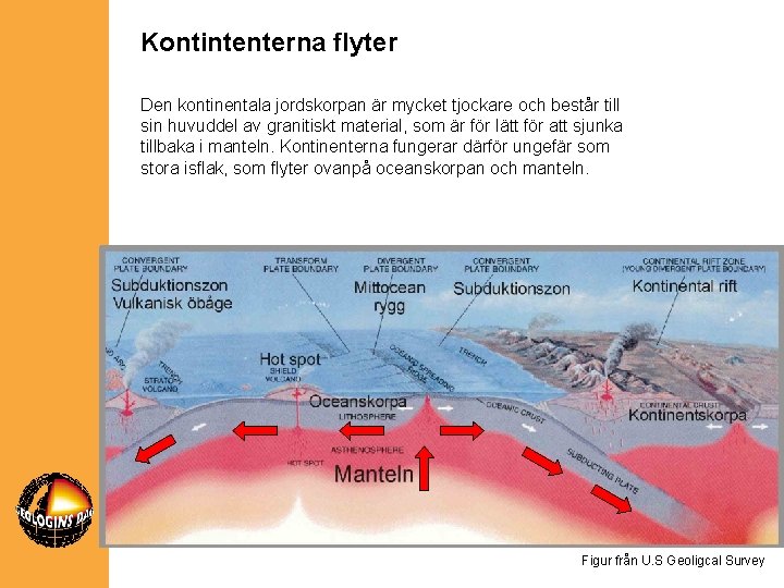 Kontintenterna flyter Den kontinentala jordskorpan är mycket tjockare och består till sin huvuddel av