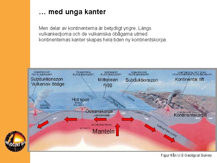 … med unga kanter Men delar av kontinenterna är betydligt yngre. Längs vulkankedjorna och