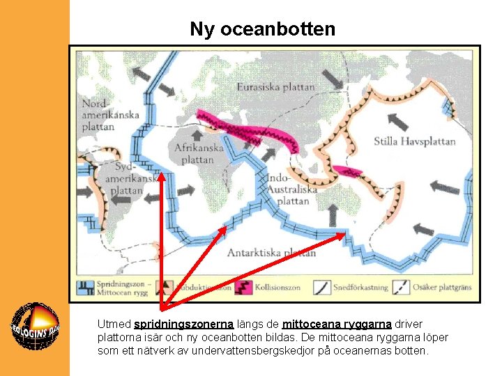 Ny oceanbotten Utmed spridningszonerna längs de mittoceana ryggarna driver plattorna isär och ny oceanbotten