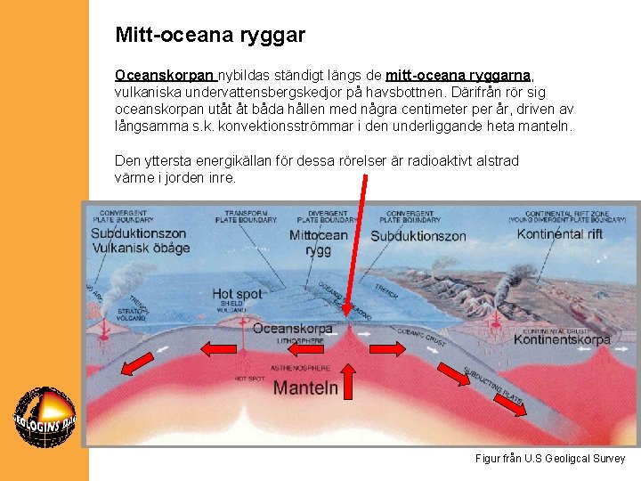 Mitt-oceana ryggar Oceanskorpan nybildas ständigt längs de mitt-oceana ryggarna, vulkaniska undervattensbergskedjor på havsbottnen. Därifrån