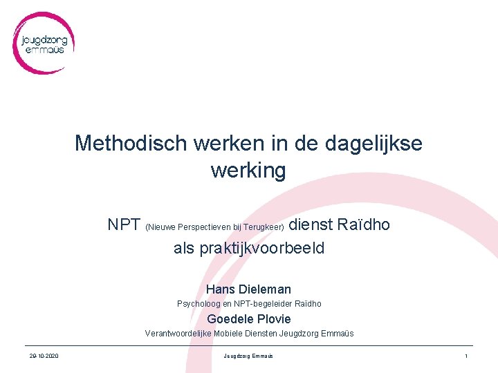 Methodisch werken in de dagelijkse werking NPT (Nieuwe Perspectieven bij Terugkeer) dienst Raïdho als