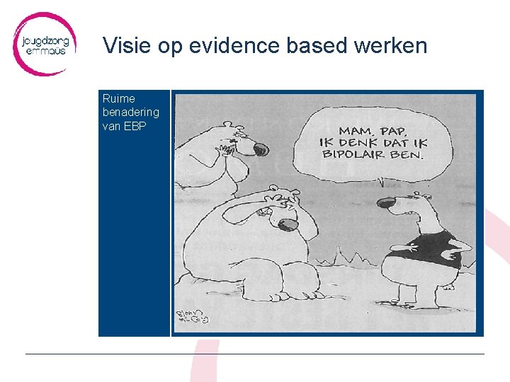 Visie op evidence based werken Ruime benadering van EBP 