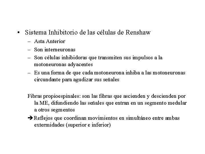 • Sistema Inhibitorio de las células de Renshaw – Asta Anterior – Son