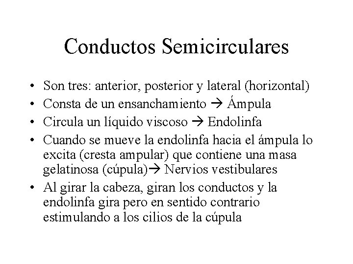 Conductos Semicirculares • • Son tres: anterior, posterior y lateral (horizontal) Consta de un