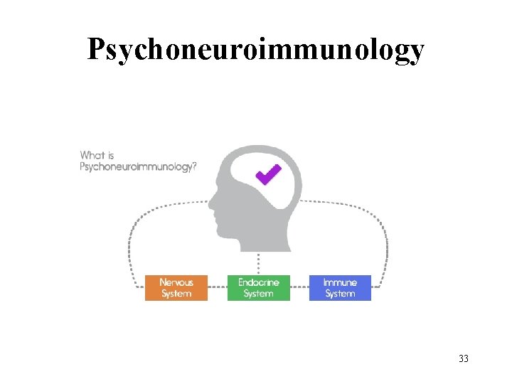 Psychoneuroimmunology 33 