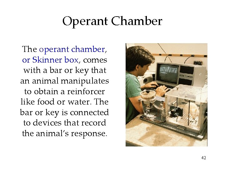 Operant Chamber The operant chamber, or Skinner box, comes with a bar or key
