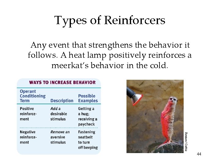 Types of Reinforcers Any event that strengthens the behavior it follows. A heat lamp