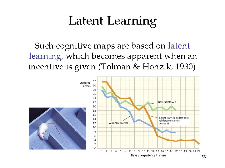 Latent Learning Such cognitive maps are based on latent learning, which becomes apparent when