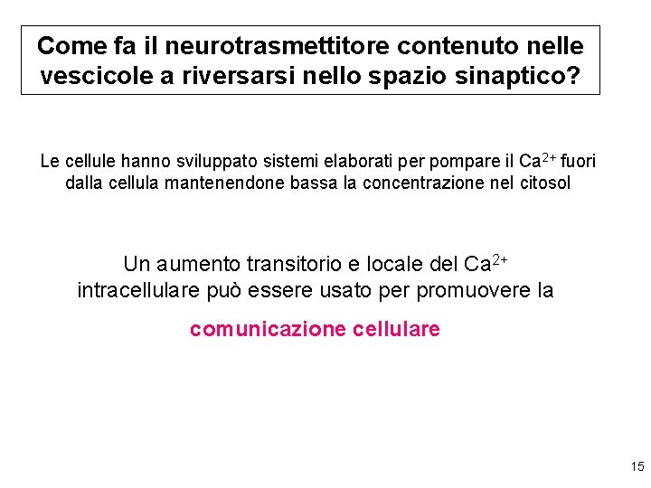 Come fa il neurotrasmettitore contenuto nelle vescicole a riversarsi nello spazio sinaptico? Le cellule