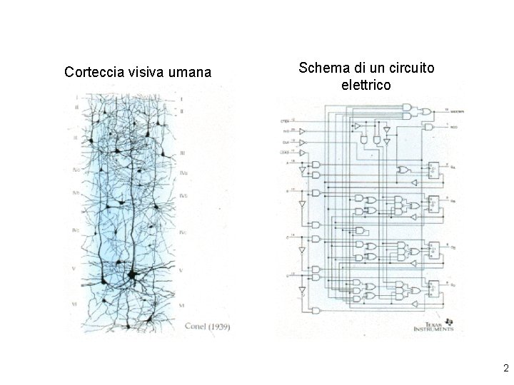 Corteccia visiva umana Schema di un circuito elettrico 2 