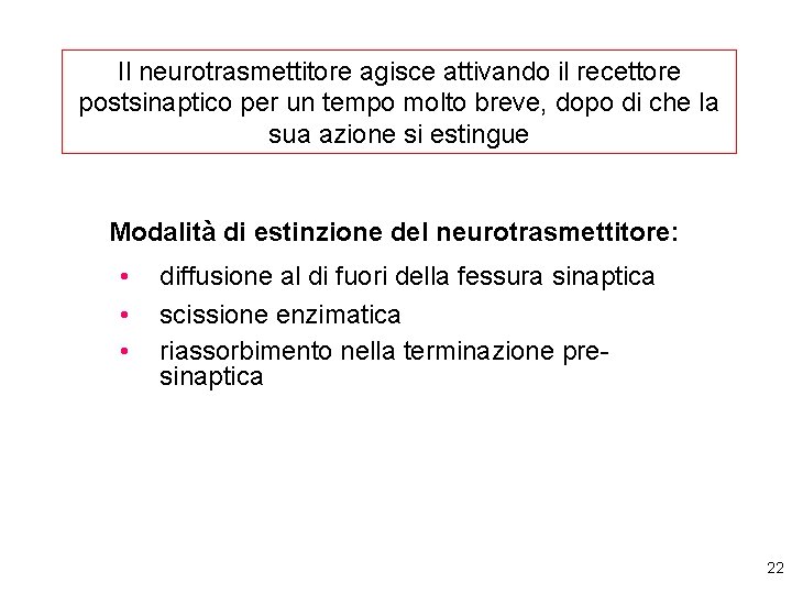 Il neurotrasmettitore agisce attivando il recettore postsinaptico per un tempo molto breve, dopo di