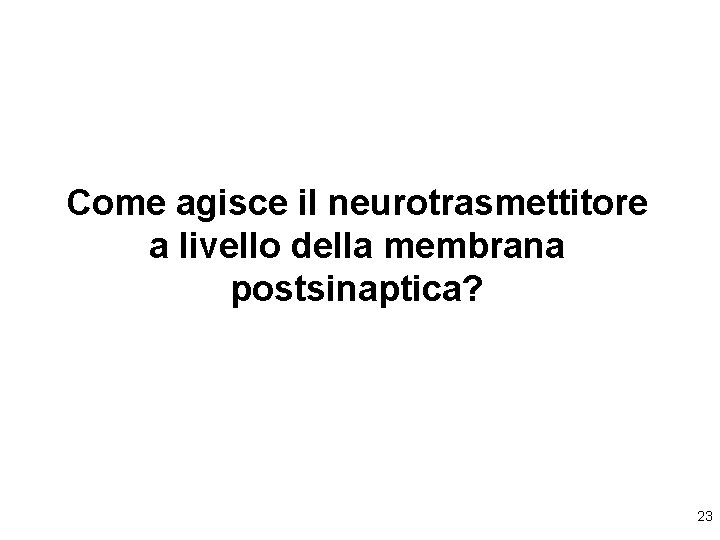 Come agisce il neurotrasmettitore a livello della membrana postsinaptica? 23 