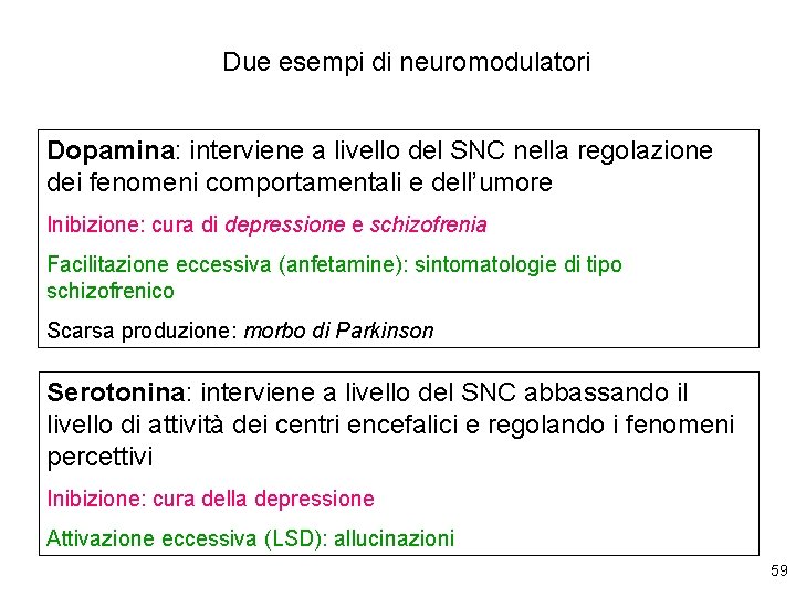 Due esempi di neuromodulatori Dopamina: interviene a livello del SNC nella regolazione dei fenomeni