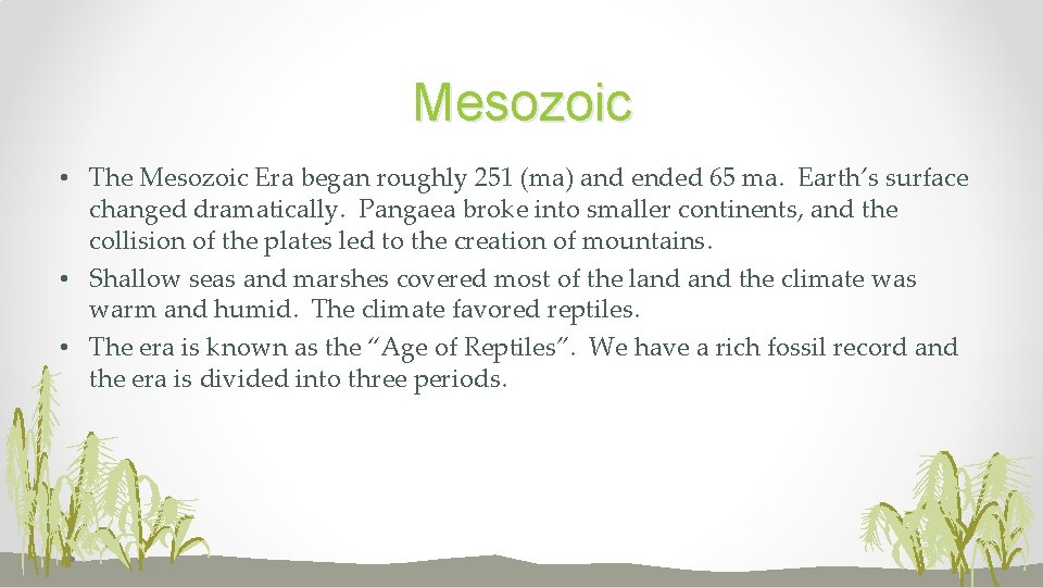 Mesozoic • The Mesozoic Era began roughly 251 (ma) and ended 65 ma. Earth’s