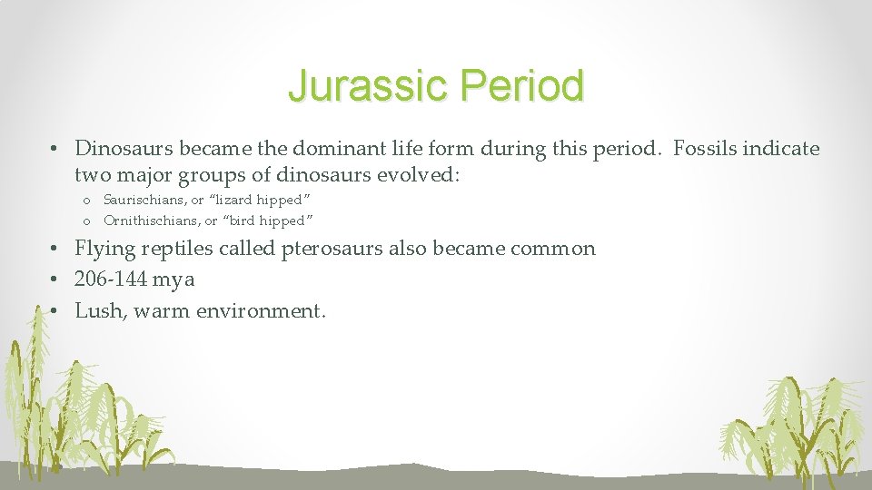 Jurassic Period • Dinosaurs became the dominant life form during this period. Fossils indicate