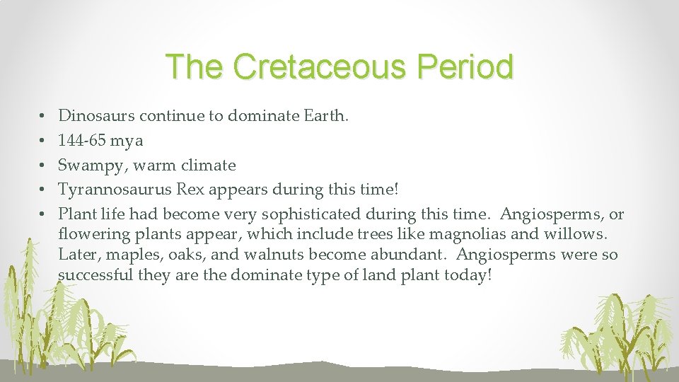 The Cretaceous Period • • • Dinosaurs continue to dominate Earth. 144 -65 mya