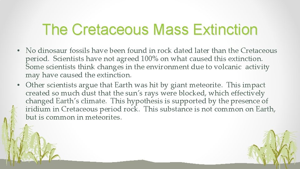 The Cretaceous Mass Extinction • No dinosaur fossils have been found in rock dated