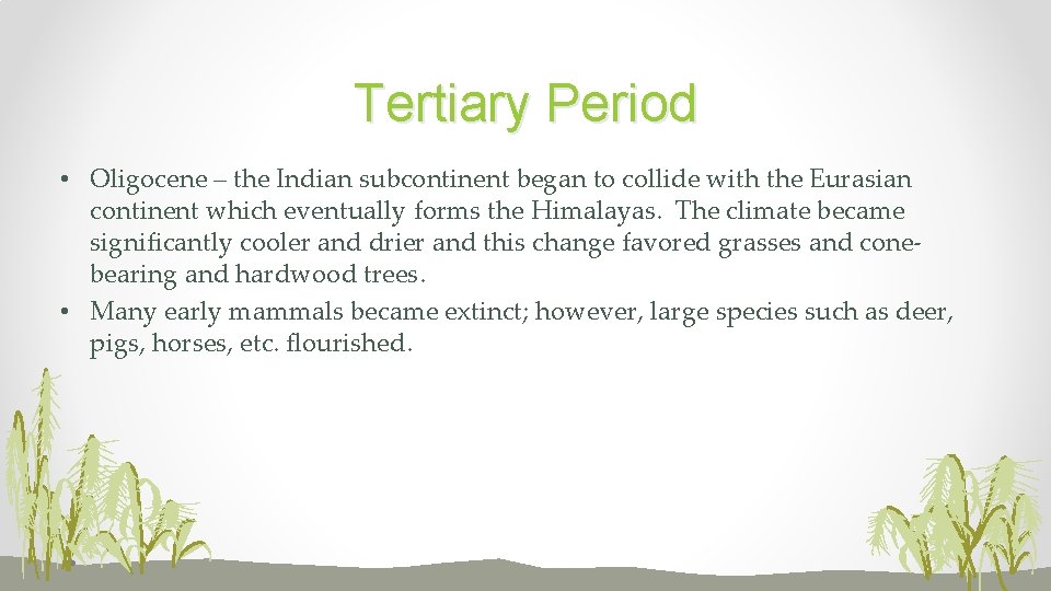 Tertiary Period • Oligocene – the Indian subcontinent began to collide with the Eurasian