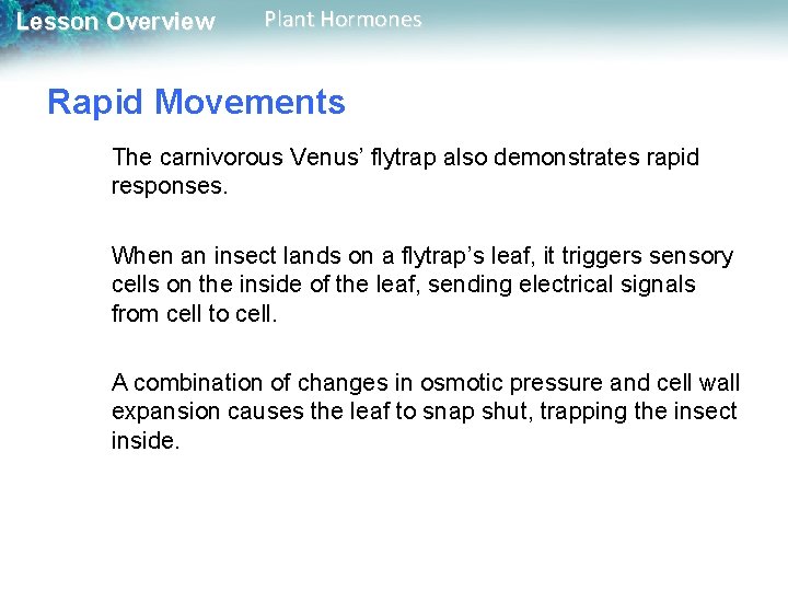 Lesson Overview Plant Hormones Rapid Movements The carnivorous Venus’ flytrap also demonstrates rapid responses.