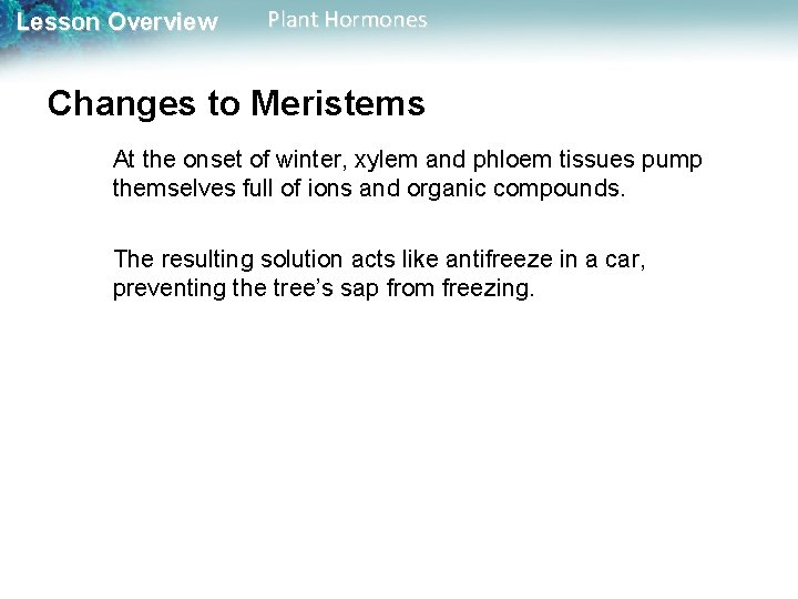 Lesson Overview Plant Hormones Changes to Meristems At the onset of winter, xylem and