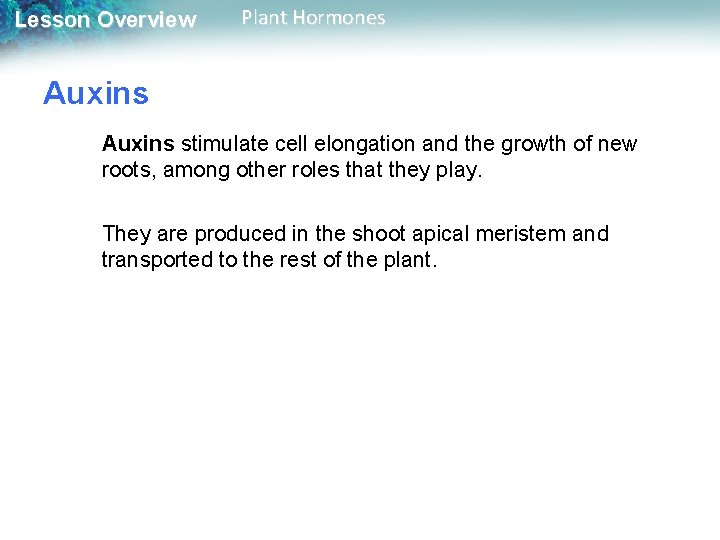 Lesson Overview Plant Hormones Auxins stimulate cell elongation and the growth of new roots,