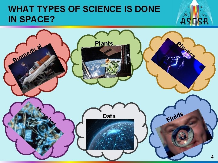 WHAT TYPES OF SCIENCE IS DONE IN SPACE? Plants l a c i Ph