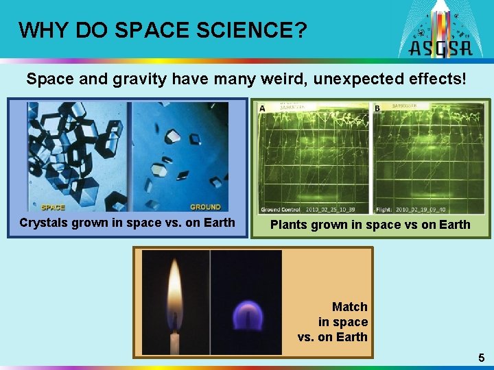 WHY DO SPACE SCIENCE? Space and gravity have many weird, unexpected effects! Crystals grown