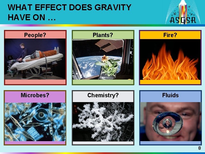 WHAT EFFECT DOES GRAVITY HAVE ON … People? Plants? Fire? Microbes? Chemistry? Fluids 8