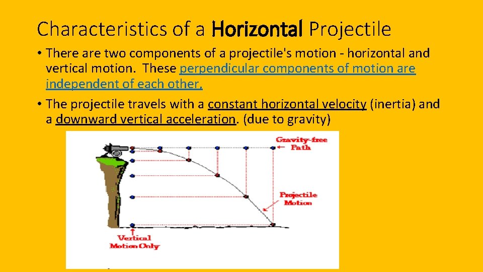 Characteristics of a Horizontal Projectile • There are two components of a projectile's motion