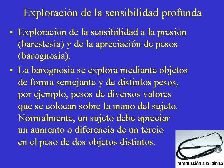 Exploración de la sensibilidad profunda • Exploración de la sensibilidad a la presión (barestesia)