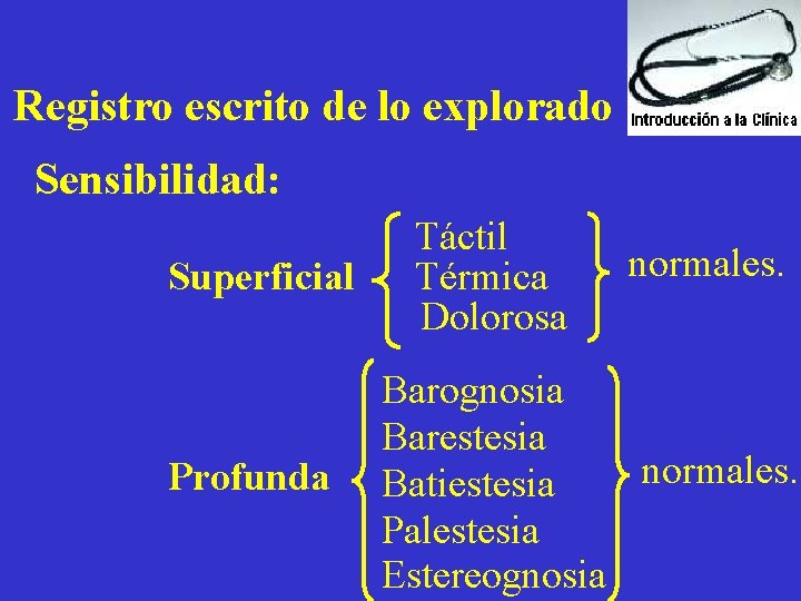 Registro escrito de lo explorado Sensibilidad: Superficial Profunda Táctil Térmica Dolorosa normales. Barognosia Barestesia
