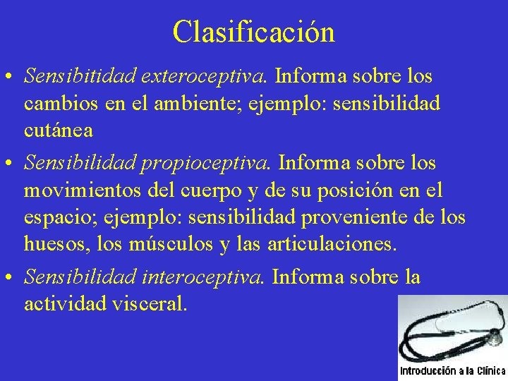 Clasificación • Sensibitidad exteroceptiva. Informa sobre los cambios en el ambiente; ejemplo: sensibilidad cutánea