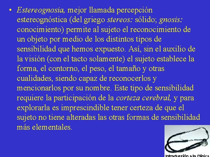  • Estereognosia, mejor llamada percepción estereognóstica (del griego stereos: sólido; gnosis: conocimiento) permite