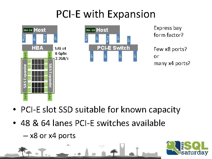 PCI-E with Expansion 384 GB Host 384 GB x 8 SAS Expander SAS x